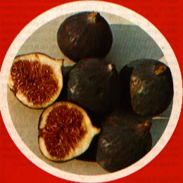 {short description of image}