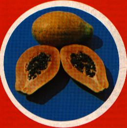 {short description of image}