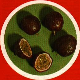 {short description of image}