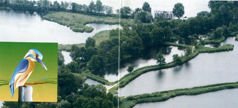 a part of the meadow country